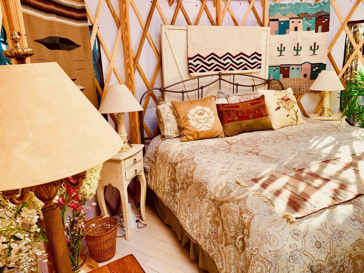 The Yoga Yurta At Sunny Mellow Eco Villa Tijeras المظهر الخارجي الصورة