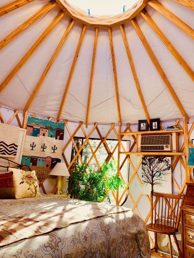 The Yoga Yurta At Sunny Mellow Eco Villa Tijeras المظهر الخارجي الصورة